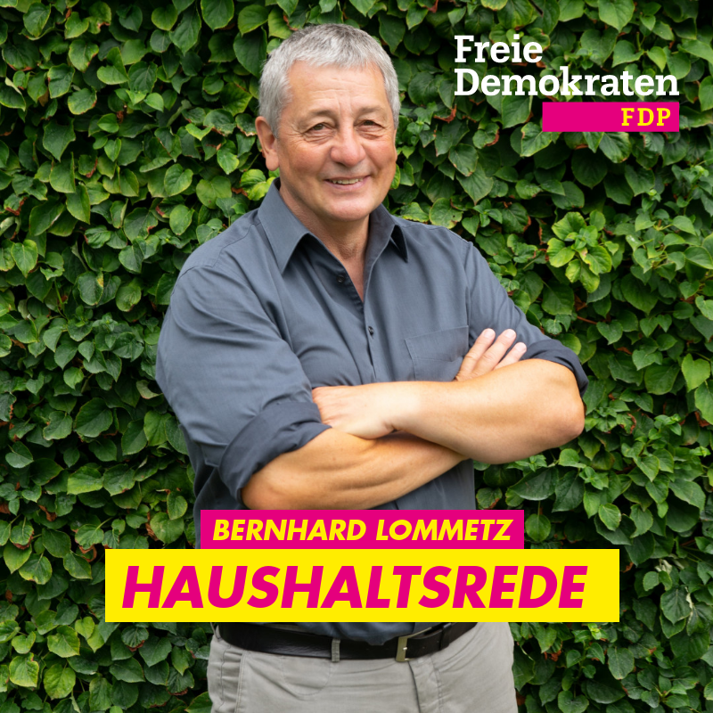 Haushaltsrede 